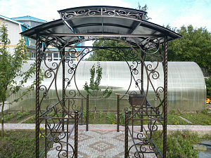 мангал (3)